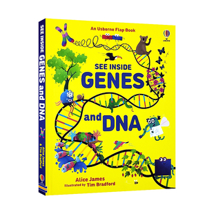 Genes 基因和DNA See 看里面系列 and 基因遗传学 绘本 儿童英语启蒙科普百科翻翻书 英文原版 亲子共读 usborne DNA Inside