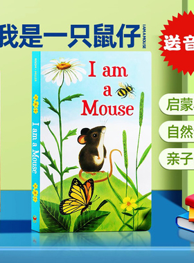英文原版绘本 I am a Mouse 我是一只老鼠 儿童英语启蒙早教 I am a kitten bunny punny rooster系列 大自然小动物认知 亲子阅读