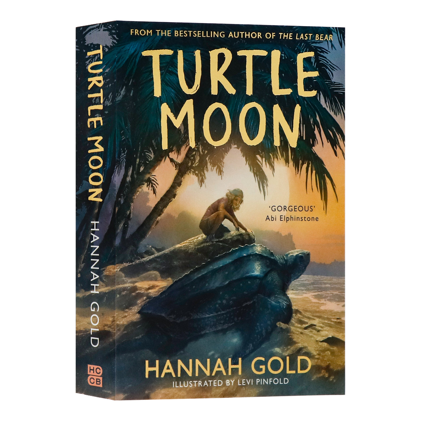 海龟之月英文原版 Turtle Moon 热带雨林海龟保育冒险故事生态悬疑小说 Hannah Gold 汉娜戈尔德最后的熊同作者 水石奖获奖作家