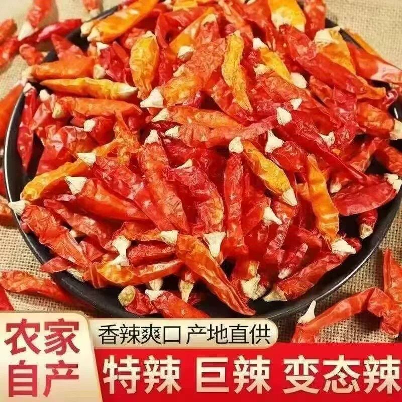 农家自种魔鬼野山特辣黄辣椒