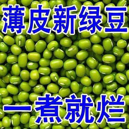 新货东北新绿豆新货颗粒饱满煲汤绿豆沙甜品发豆芽绿豆子容易出沙