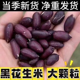 现炒原味花生富晒黑花生黑皮花生手工下酒地锅花生炒货养生饮