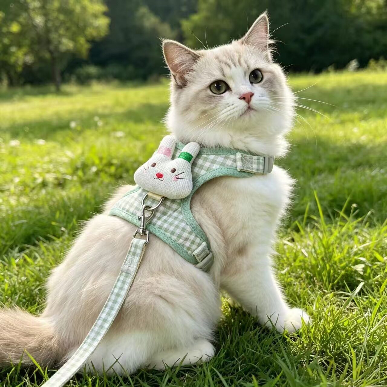 猫咪牵引绳防挣脱遛猫绳可调节宠物牵引绳小猫链子猫咪可爱外出绳