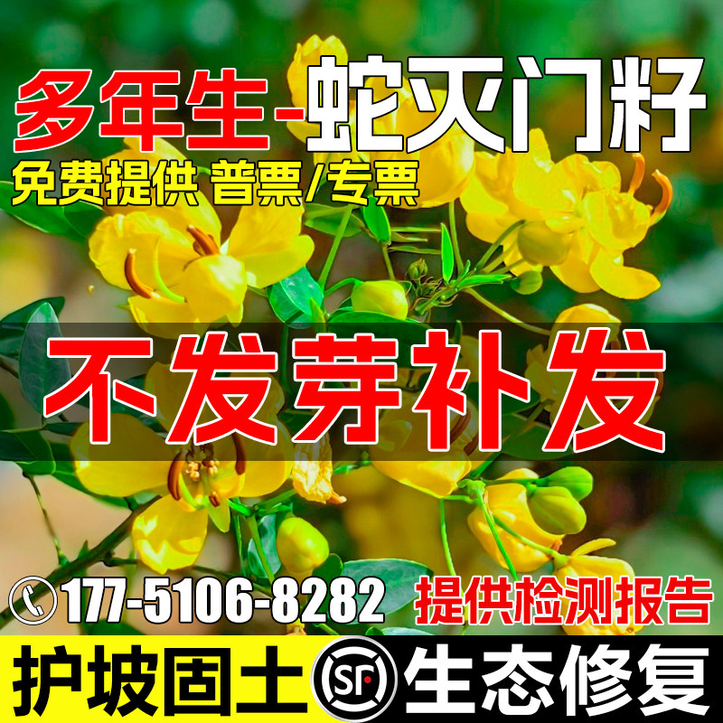 蛇灭门种子驱蛇草种籽灌木草籽