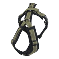 【Спины】 Matcha Green x Black