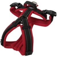 【Задняя часть груди】 красный и черный