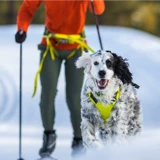 Rafewelli Mimini Outdoor Sports Traction System Трокционная сундук и задний ремень -в одном для собачьего ремешка