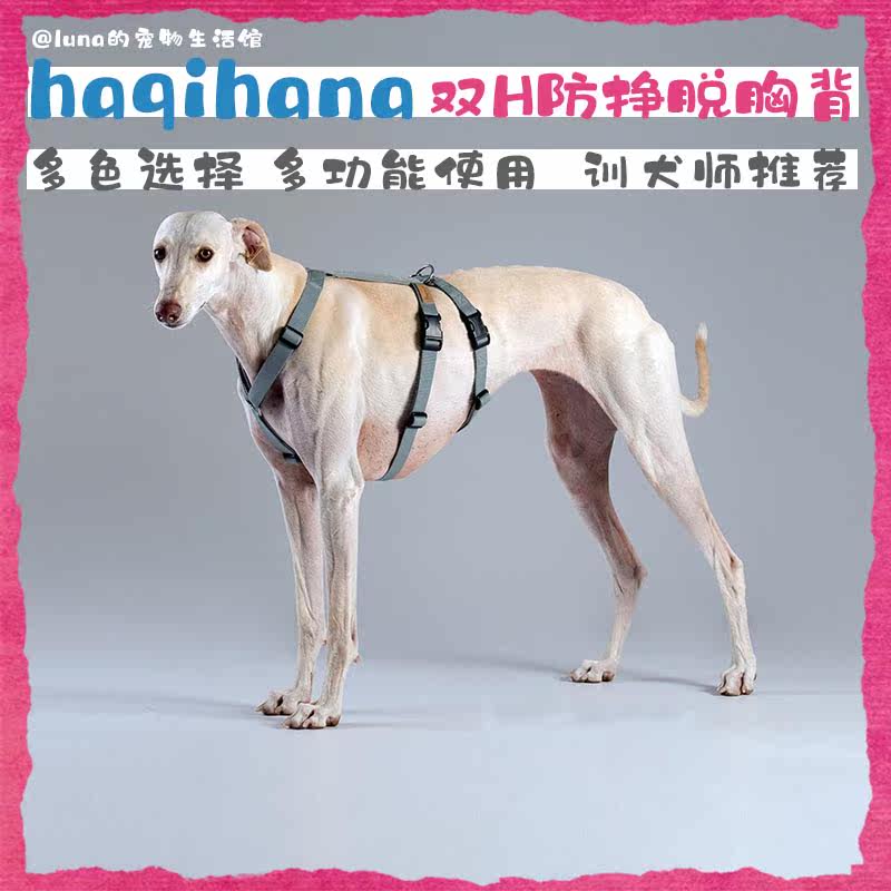 哈绮哈娜双H防挣脱猫狗宠物胸背图片
