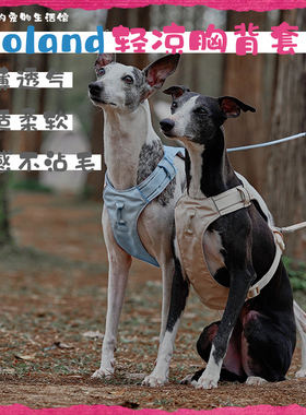 美国Zooland域揽多功能小中大型犬比熊边牧萨摩清凉胸背牵引套装