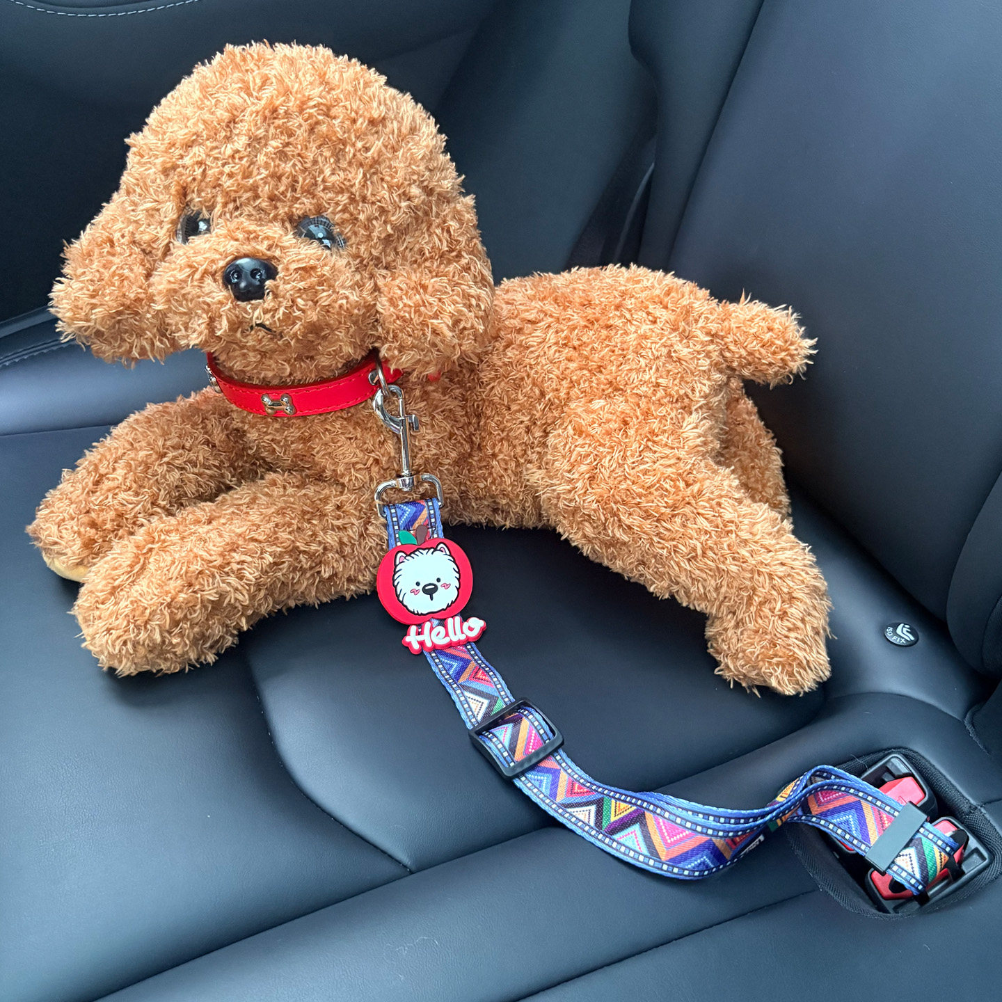 车载宠物坐车安全带安全扣汽车狗安全带座椅猫咪通用安全绳防打扰,汽车用品/电子/清洗/改装,汽车安全带套/固定器/延长带,淘宝优惠券,粉丝福利购,淘宝优惠卷