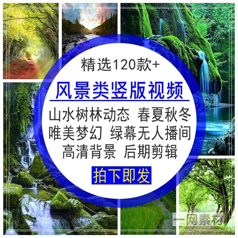 风景类竖版视频唯美梦幻山水森树林春夏秋冬动态背景后期剪辑素材
