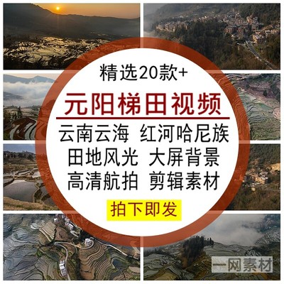 元阳梯田视频素材云南云海红河哈尼族田地风光景特色旅游延时航拍