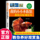 一本完备而实用 我 观赏鱼养育全书 经验包括几十种水草 培植方法和搭配方式 小小水族馆教你养好观赏鱼正版 收录养殖淡水热带鱼