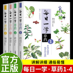 全4册每日一学草药正版曾培杰编著中草药方大全中草药自学入门书籍读物中医药学本草纲目药材中医基础理论大全中国科学技术出版社