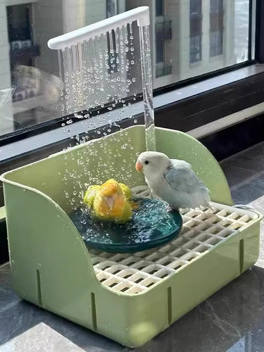 鹦鹉洗澡盆自动循环小鸟洗澡神器外置小太阳八哥虎皮牡丹专用浴盆