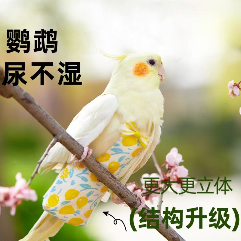 鹦鹉用品鹦鹉尿不湿鸟用屎兜