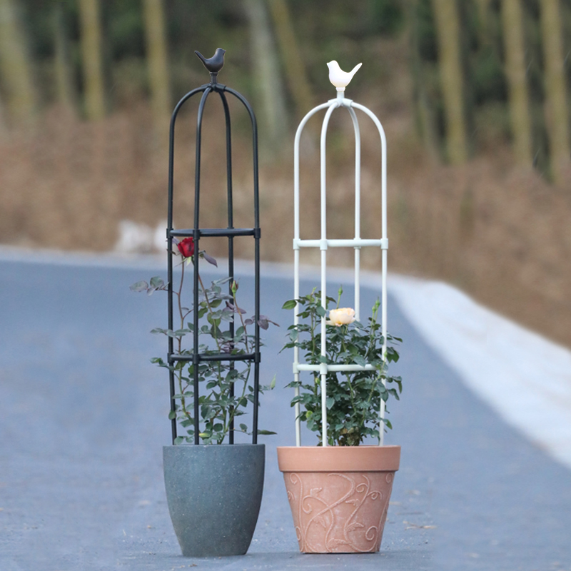 小鸟花支架爬藤攀架子