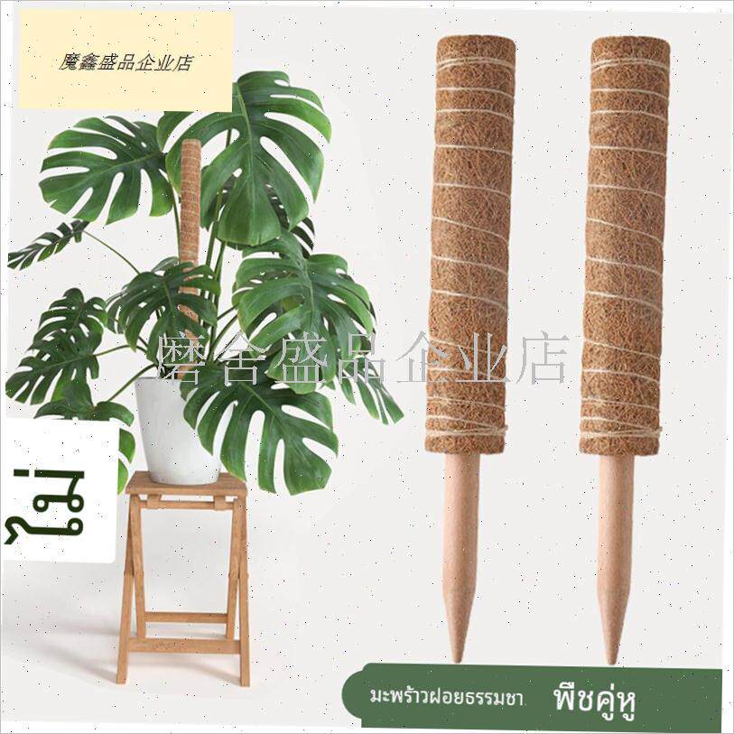 龟背竹支撑杆f绿箩爬藤支架椰棕棒植物攀爬柱棕榈柱植物造型固定.