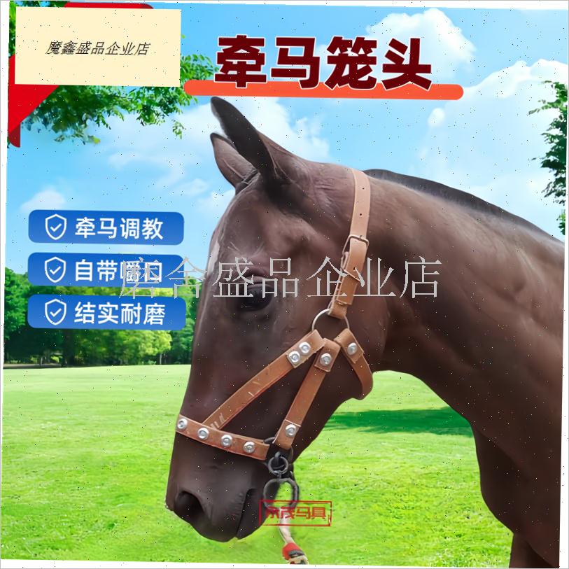 马具马笼头马嘴笼马龙套马嘴套马嘴笼牛嘴M套牵马调教马龙头马术.
