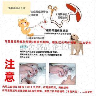 宠物猫咪狗狗接生m工具母猫怀孕待产包小猫吸羊水器脐带剪刀全套.