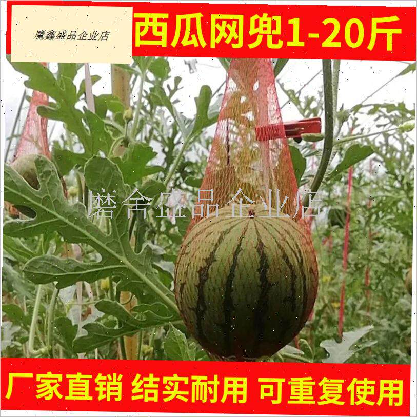吊西瓜专用套f袋甜瓜哈密瓜束口挂绳网兜纱袋防虫塑料袋子大棚瓜.