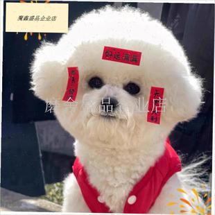 mini狗狗对联宠物马年创意拍照道具春节新中式氛围Y感小狗写真妆.