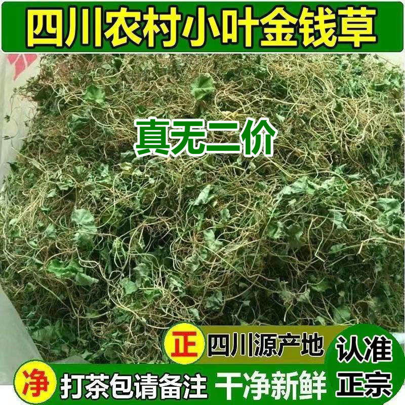 金钱草溶石草四川农村野生新鲜小叶金钱草茶中草药化石马蹄金500g