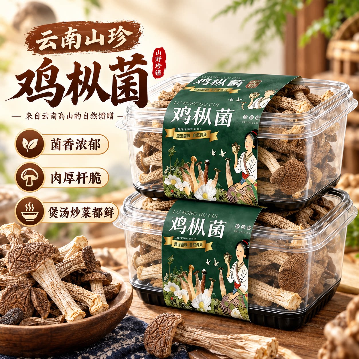 云南鸡枞菌26年鲜货干货鸡枞煲汤