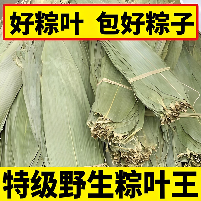 粽叶新鲜粽子叶大号粽叶包粽子专用新鲜粽叶芦苇粽叶干人工挑选叶,粮油调味/速食/干货/烘焙,粽子,淘宝优惠券,粉丝福利购,淘宝优惠卷