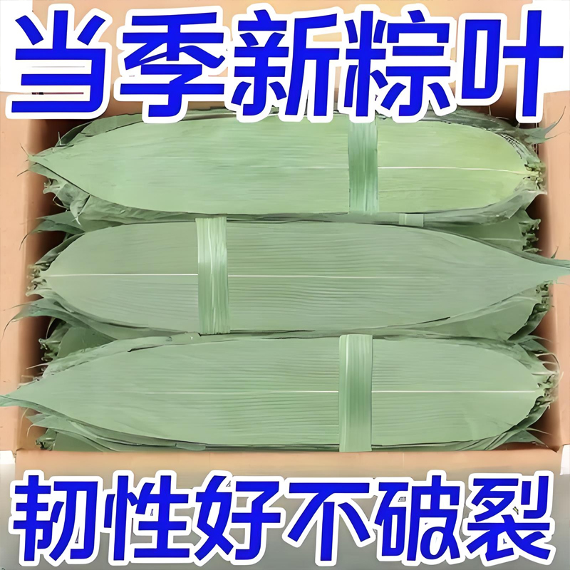粽子叶粽叶干大号棕叶新鲜包粽子竹叶子干粽叶商用箬叶材料旗舰店