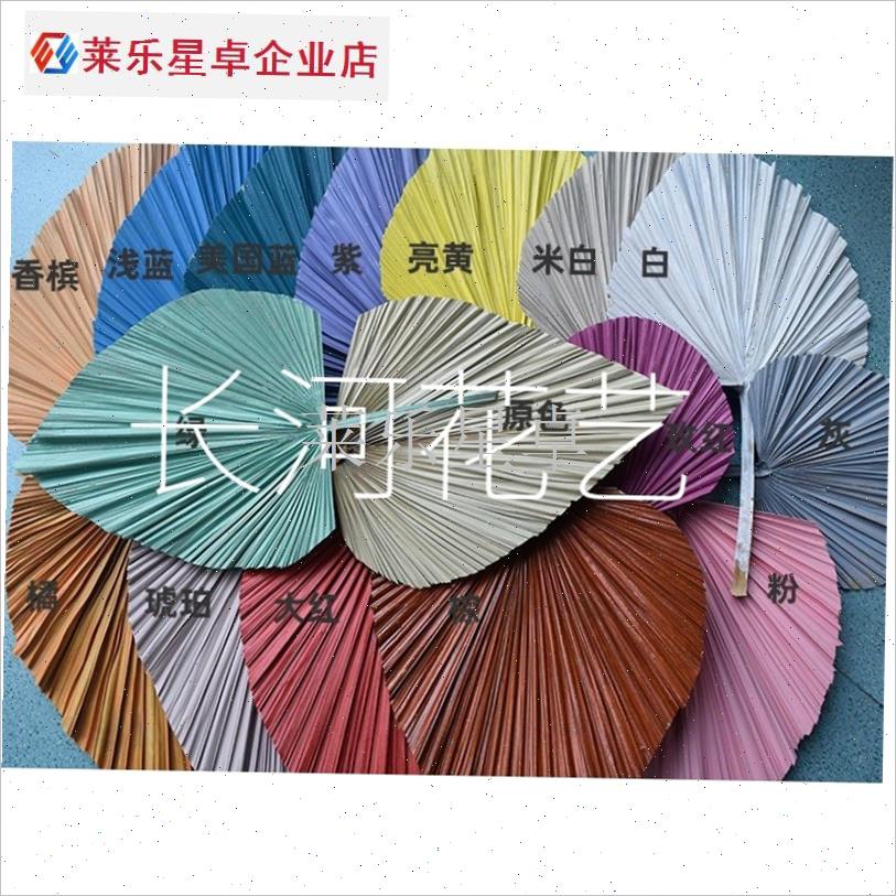 橱窗刷漆婚庆蒲扇叶m彩色红干花束插花艺制作蒲葵叶子婚礼道具装.