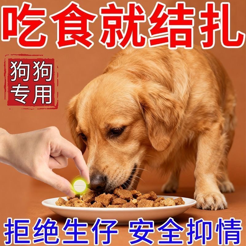 狗狗绝育片不生崽公母通用终身永久禁情片抑制发情不乱尿控制情绪