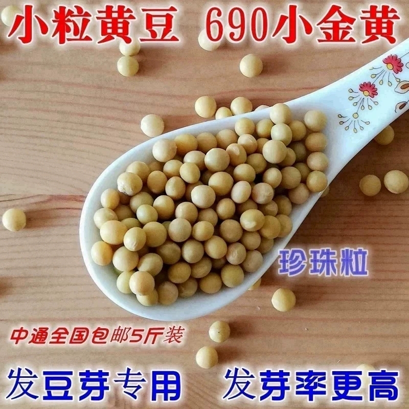 新货发豆芽黄豆生黄豆芽豆专用黄豆纳豆 5斤2东北农家自种690小粒