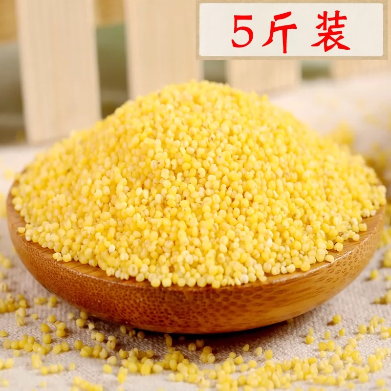 【五斤装-黄金苗小米】沂蒙山黄小米 小黄米 新米 月子米2500g