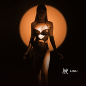 绫 女 「姿涩」超薄丝滑半透网纱诱惑烫金刺绣性感鱼骨胸衣套装