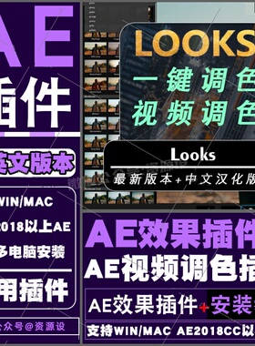 AE/PR插件 looks 调色视频电影预设滤镜一键调整支持WinMac2025AE
