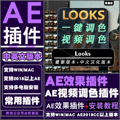 AE/PR插件 looks 调色视频电影预设滤镜一键调整支持WinMac2025AE