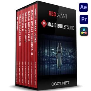 AE/PR/达芬奇插件Win中文英文破解版红巨人降噪磨皮美颜调色套装