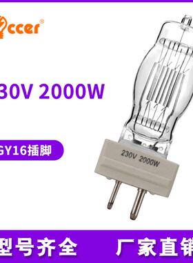 船用投光灯泡230V120V2000W3000WGY16钨丝灯卤钨灯cp/72