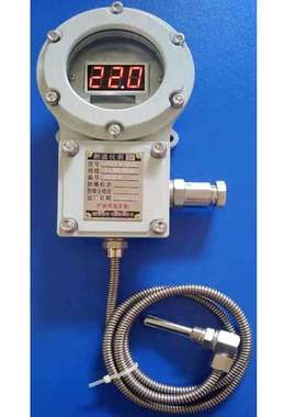 数字测温表 型号:BWTM-204 库号：D18610