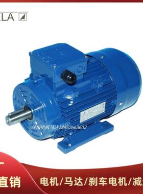 意大利VELA电机马达MSVL263718090S100L112M132M160L180M