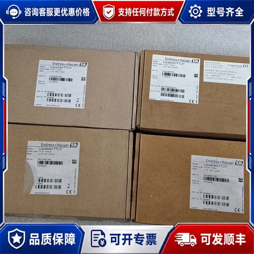 议价E＋H音叉开关FTL31-AA1U2AAWBJ音叉物位计F可维修