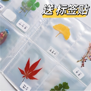植物标本收集册叶脉书签树叶标本收集袋儿童手工自制干花标本相册