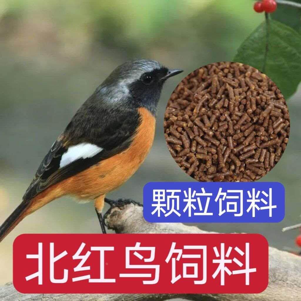 北红鸟食北红尾鸲鸟食饲料绣眼点颏饲料红蓝小鸟鸟饲料云雀