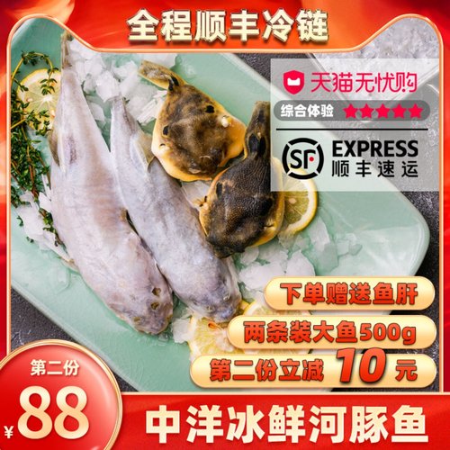 已处理两条海安无毒冰鲜河豚鱼