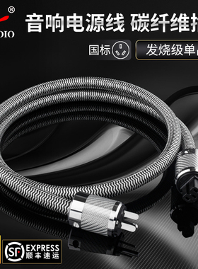 杨阳YYAUDIO 功放hifi音响电源线国标美标发烧级单晶铜音箱连接线