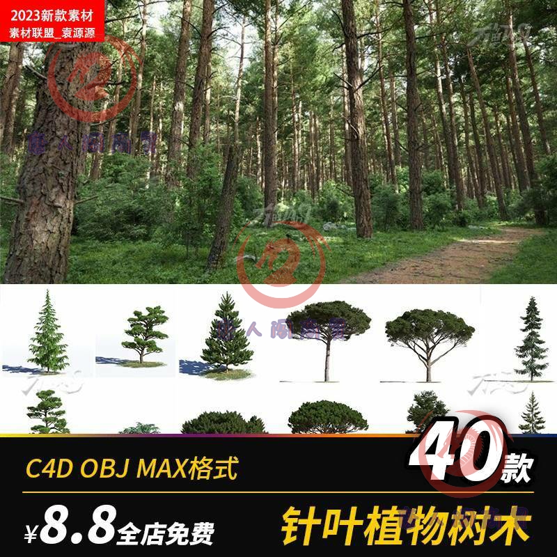C4D高精度针叶松树柏树OBJ模型园林景观风景设计3D观赏树木素材