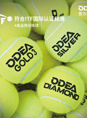 欧帝尔Gold网球Diamond专业训练球DD2Silver耐打DD3DD8高回弹网球