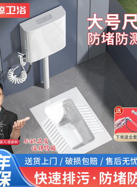 家用陶瓷蹲便器大冲力水箱整套装卫生间防臭大便器厕所蹲坑式便盆