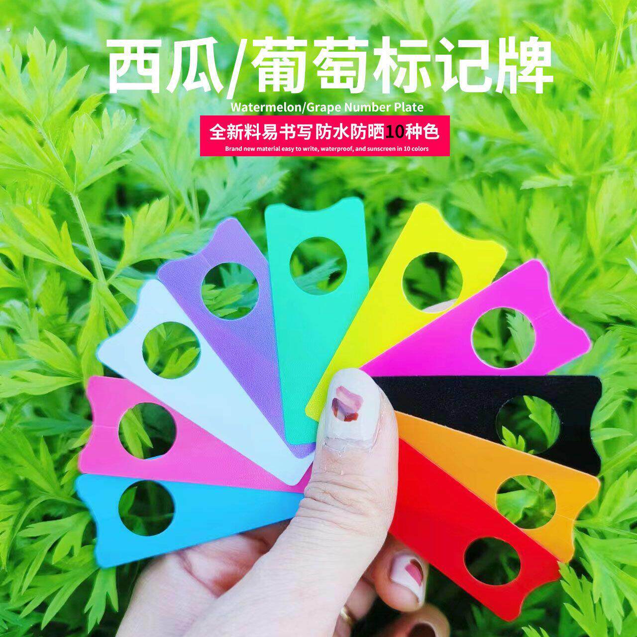 新款植物园艺标签防水葡萄西瓜标记卡西瓜果树瓜果双面标记牌新款